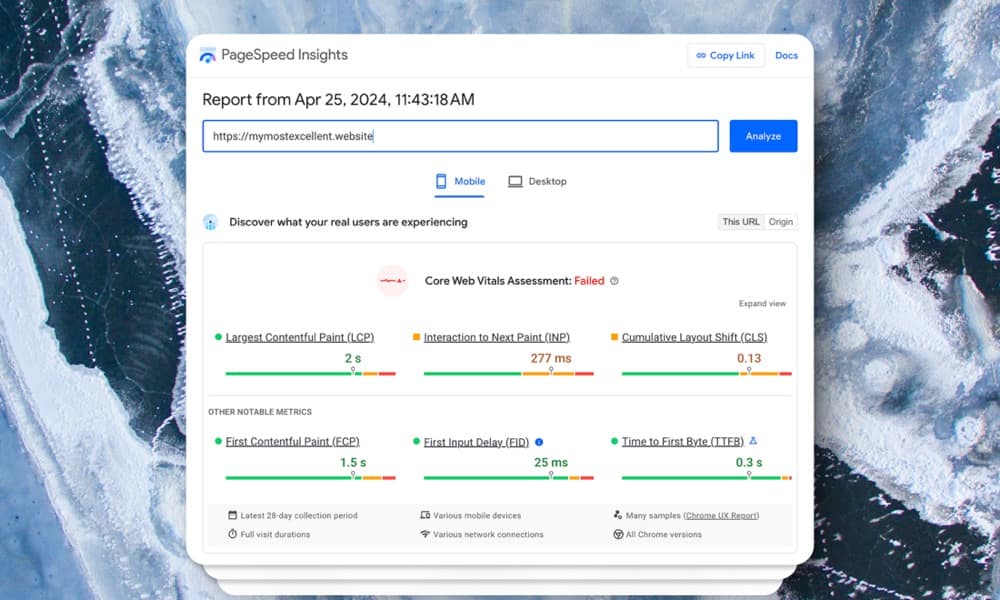 the screenshot of pagespeed insights