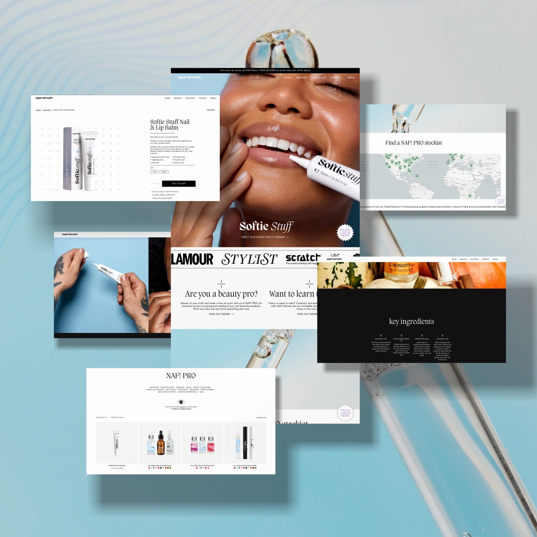 the graphic of naf website