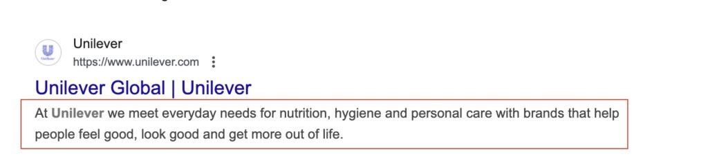 example of unilever snippet