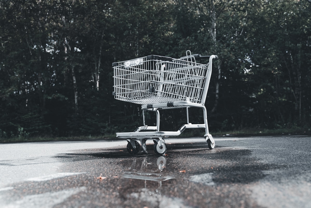 Shopping cart representing AI shopping features