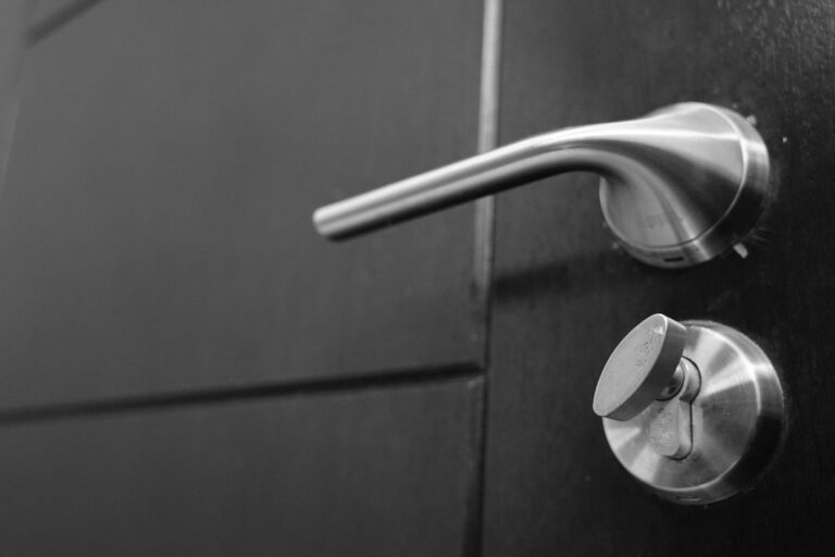 Metal door handle and lock on a dark door.
